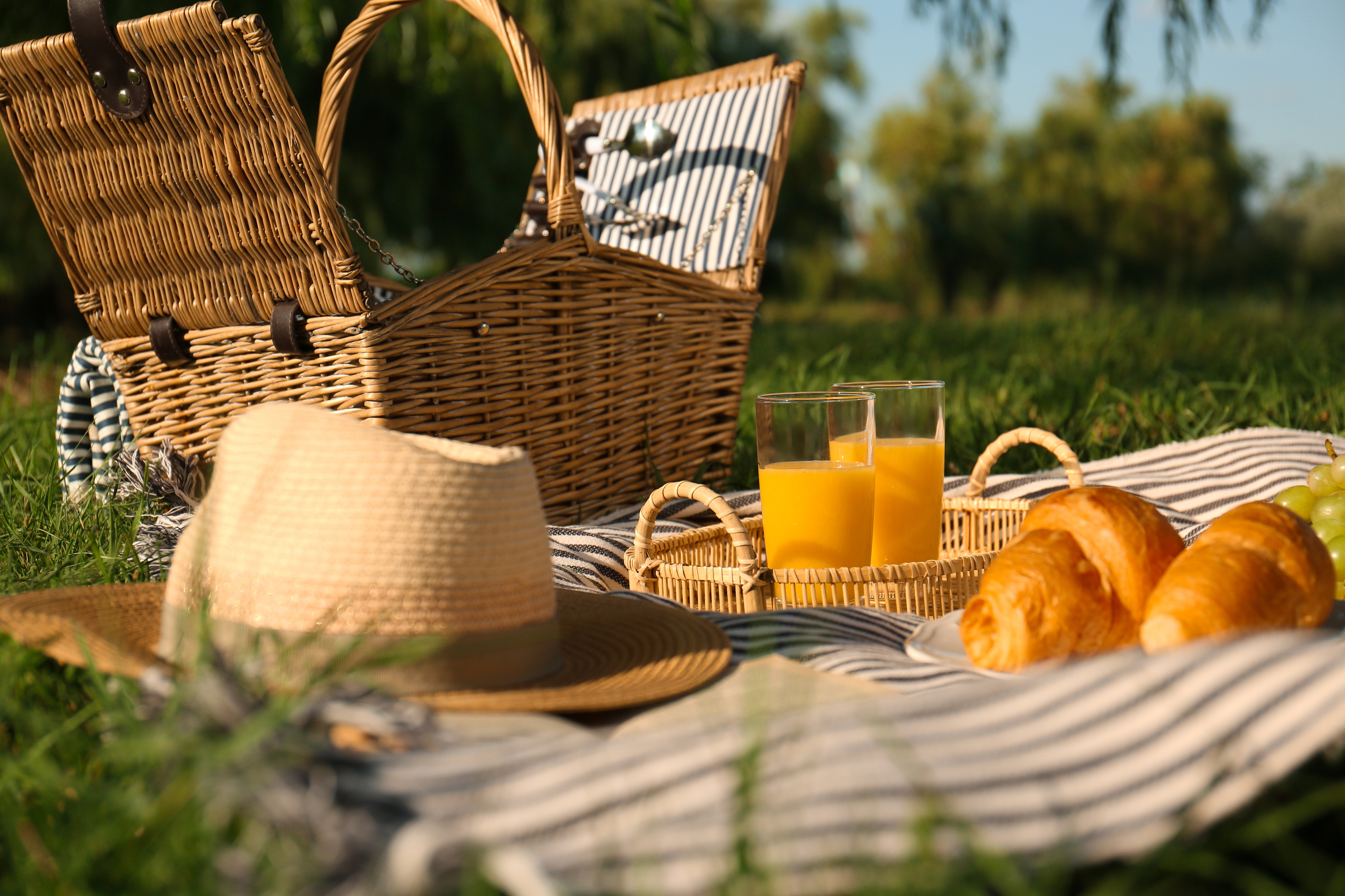 Ringside Picnic