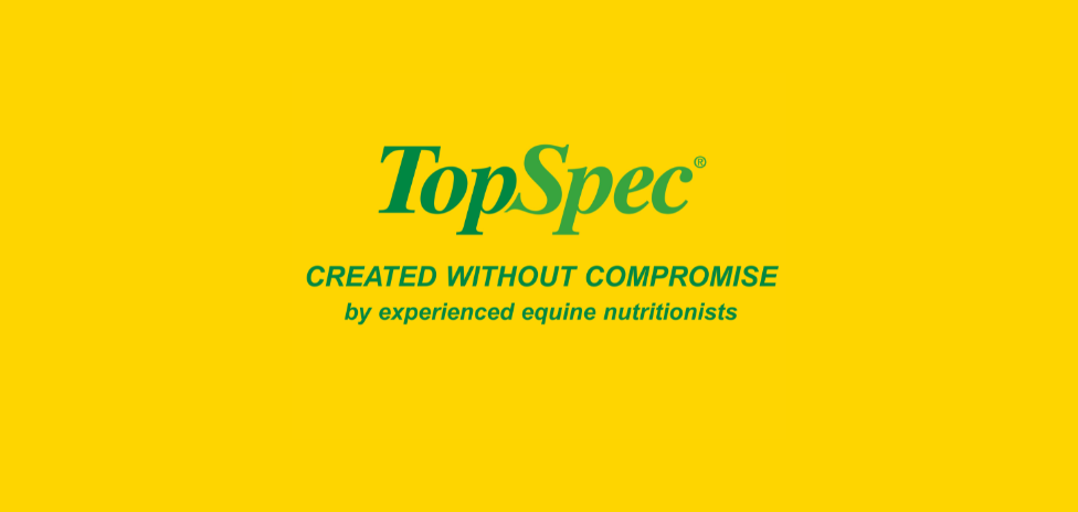 Topspec Prize Draw (976 X 464 Px) (1)