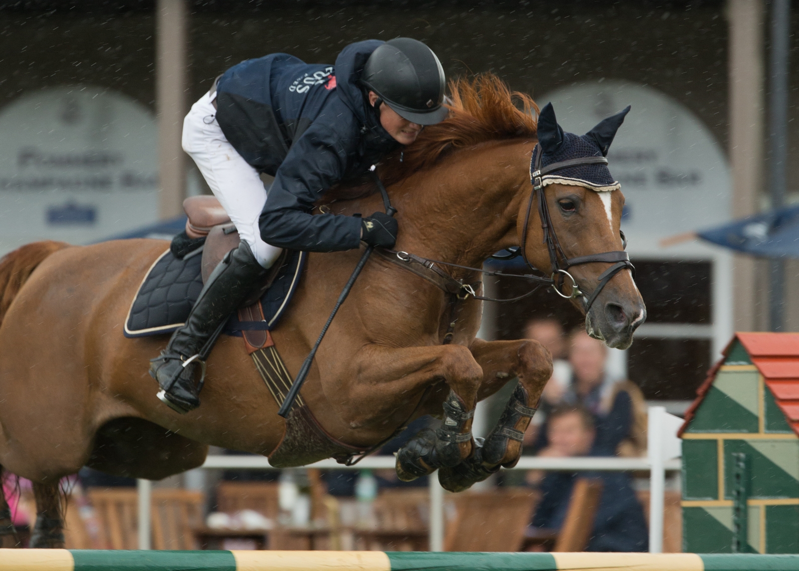 Michael Duffy on Westland Ruby (c) Julian Portch AEJC2013.jpg