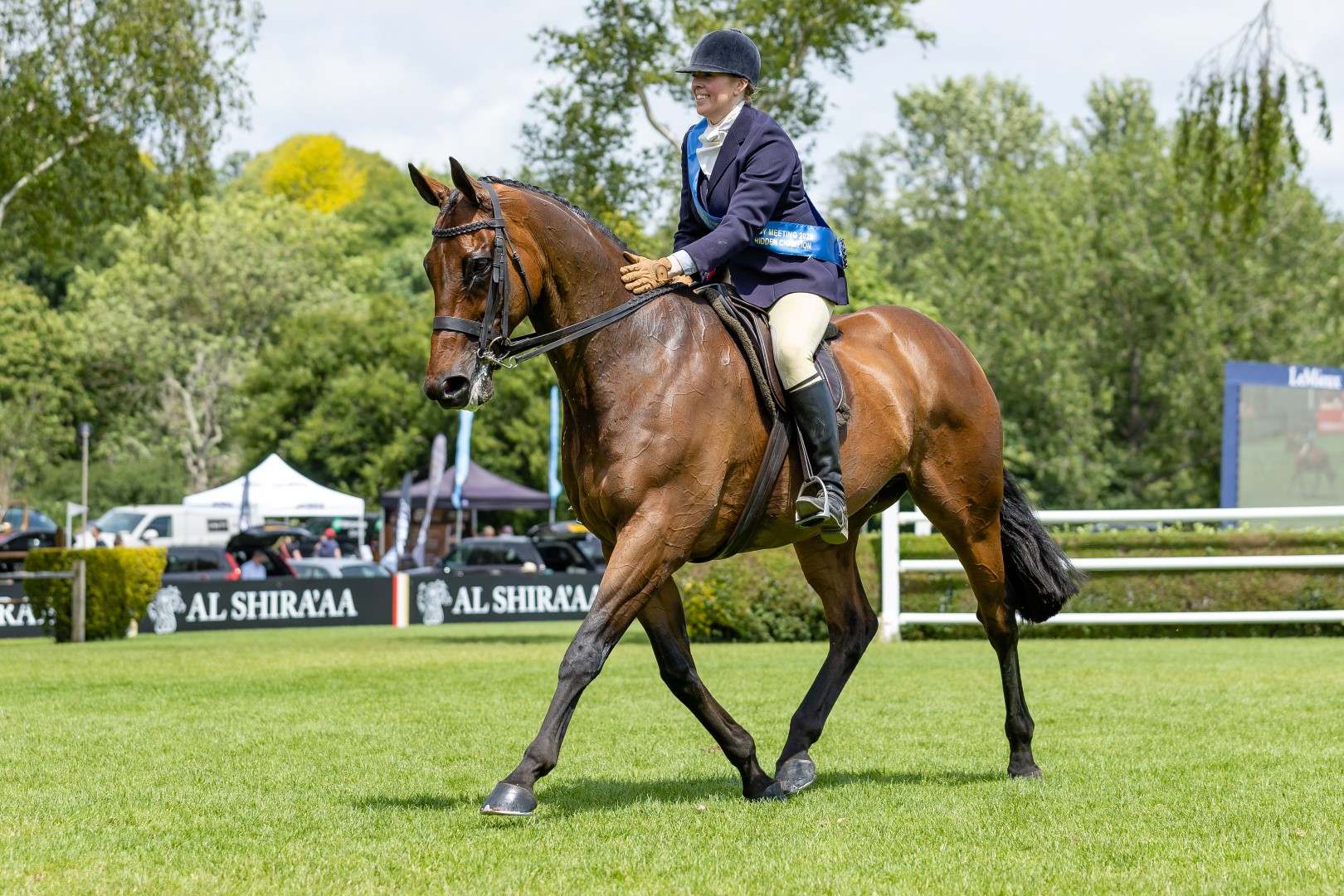 Rebecca Court And Festive Fair B&H (9) (Large)