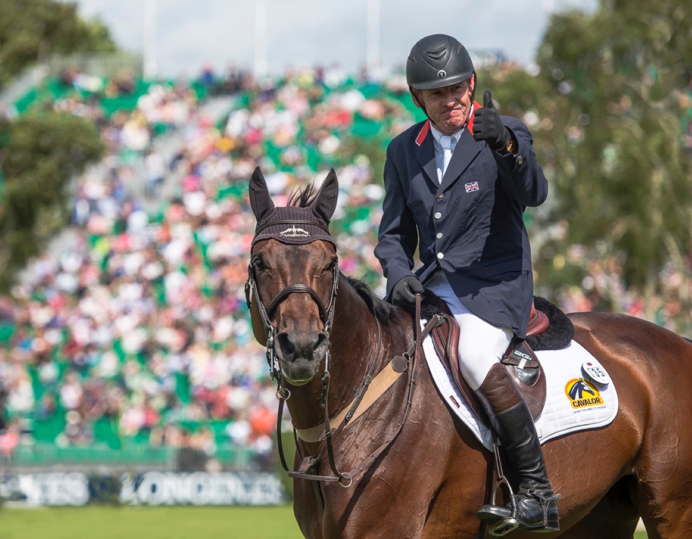 Wendy Ball - amateur - email (Large).jpeg