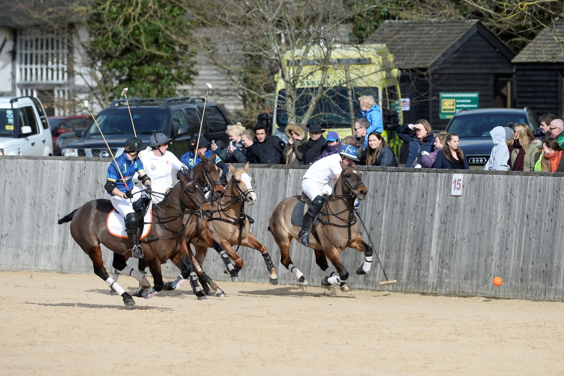 04_03_17 0596 (Medium).JPG