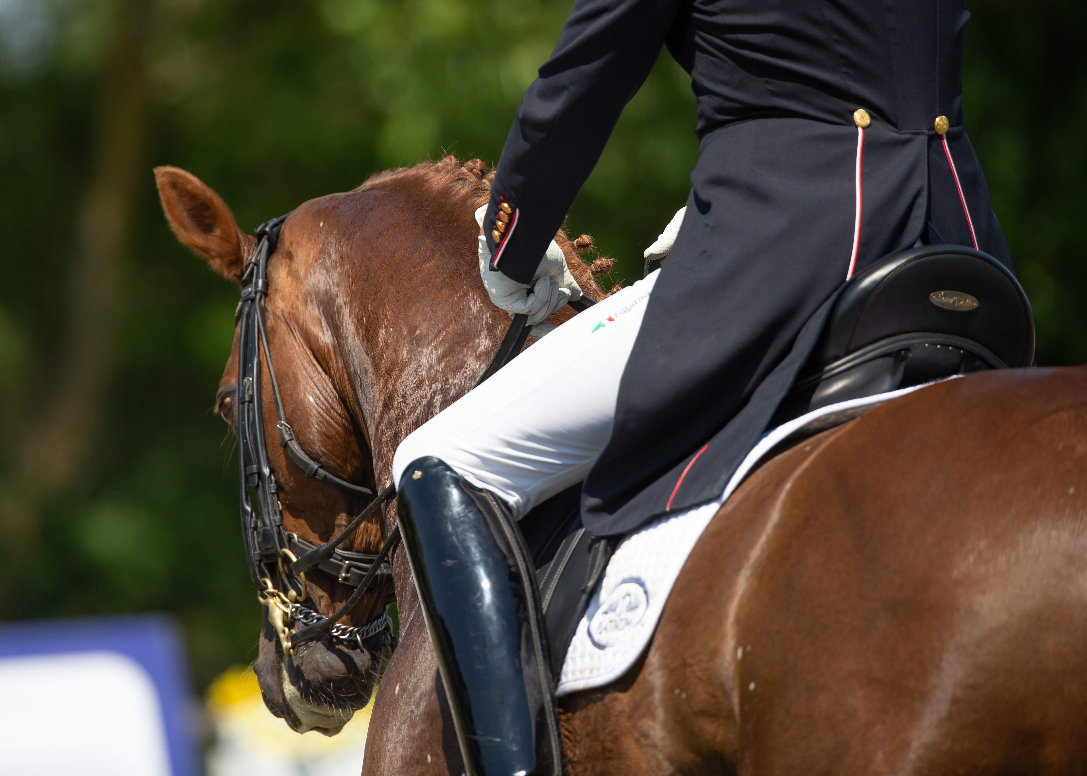 dressage (c) Julian Portch.jpg