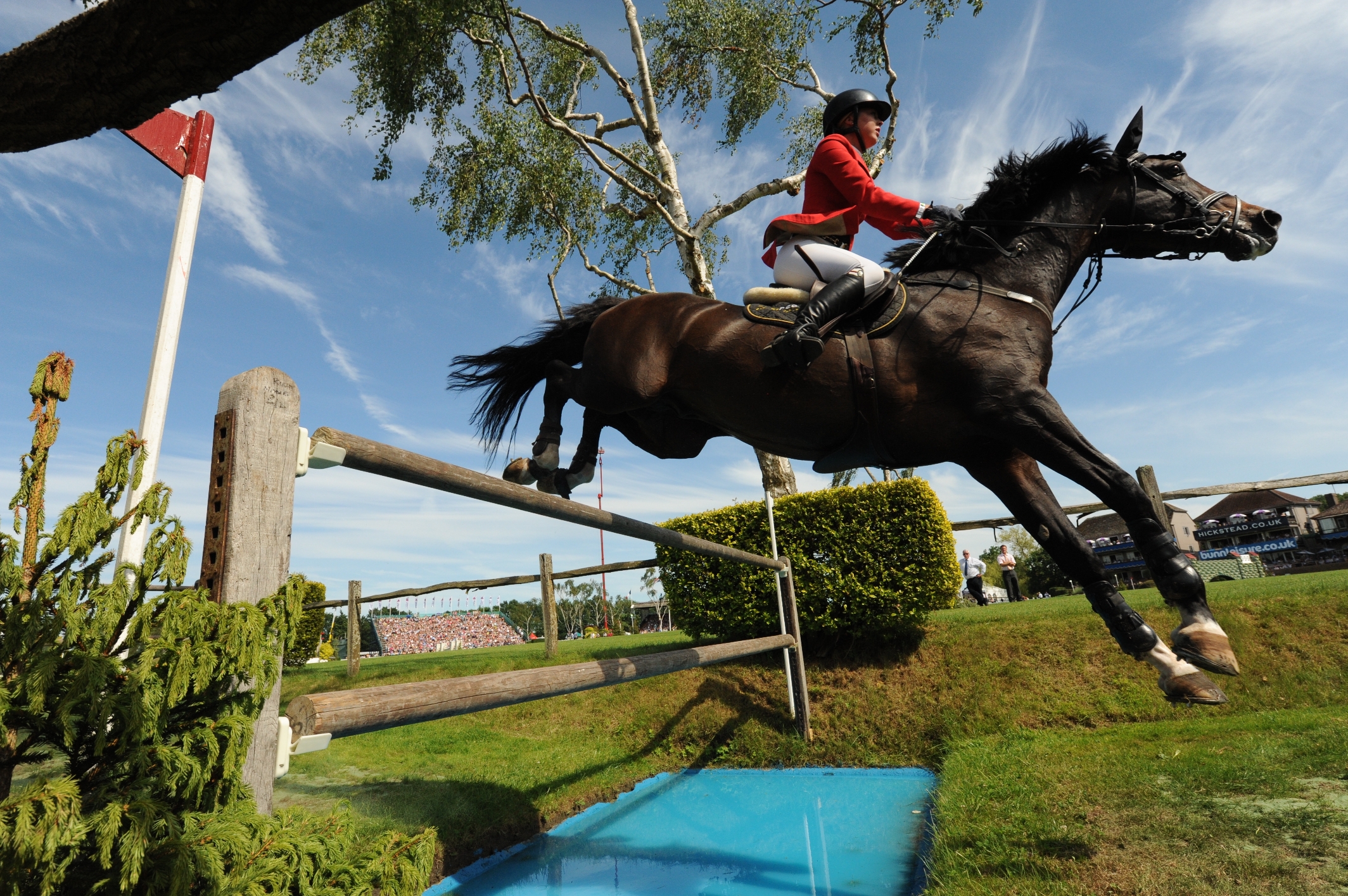 Ellen Whitaker Locarno (002)