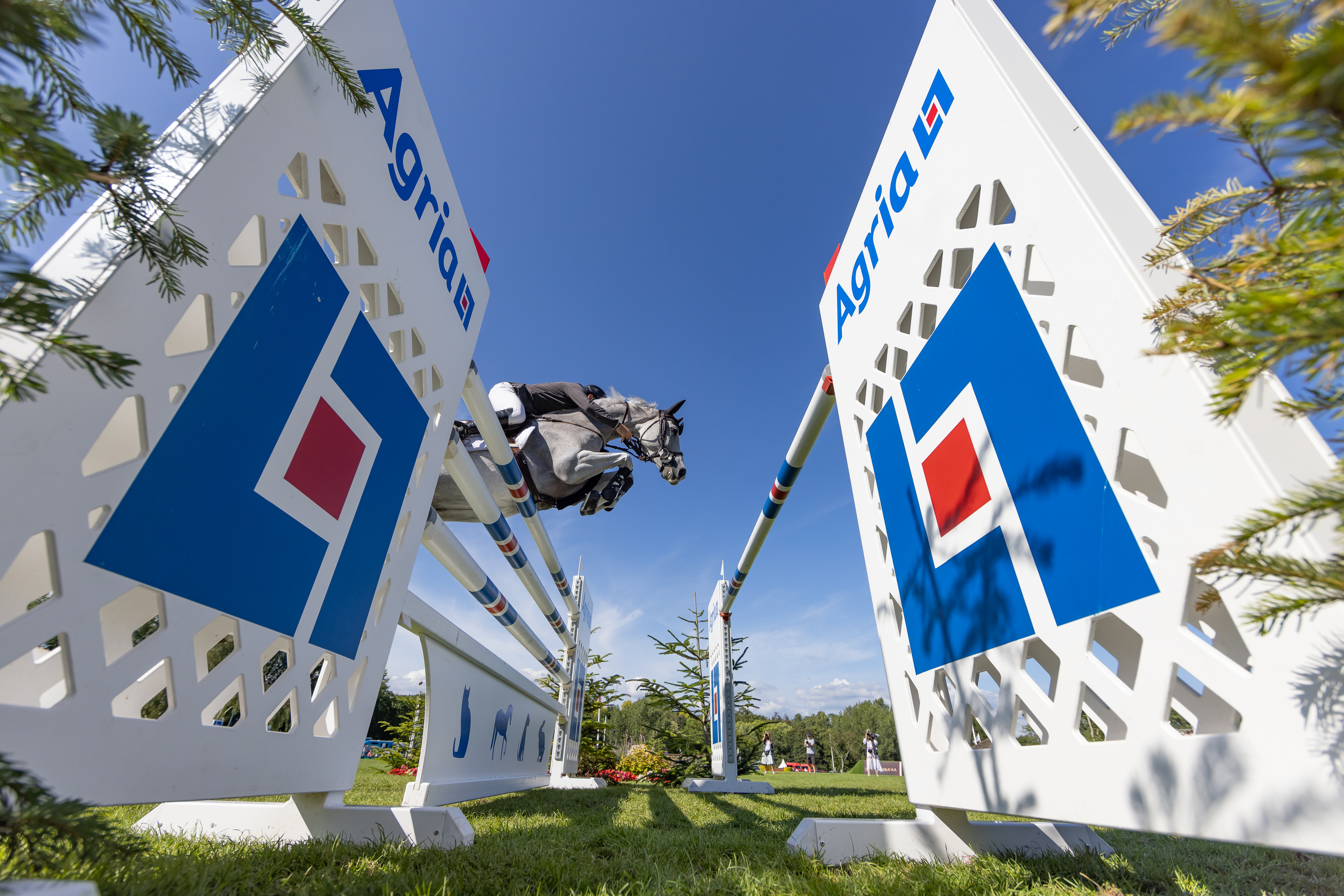 Donal Whitaker & Millfield Colette C B&H (1)