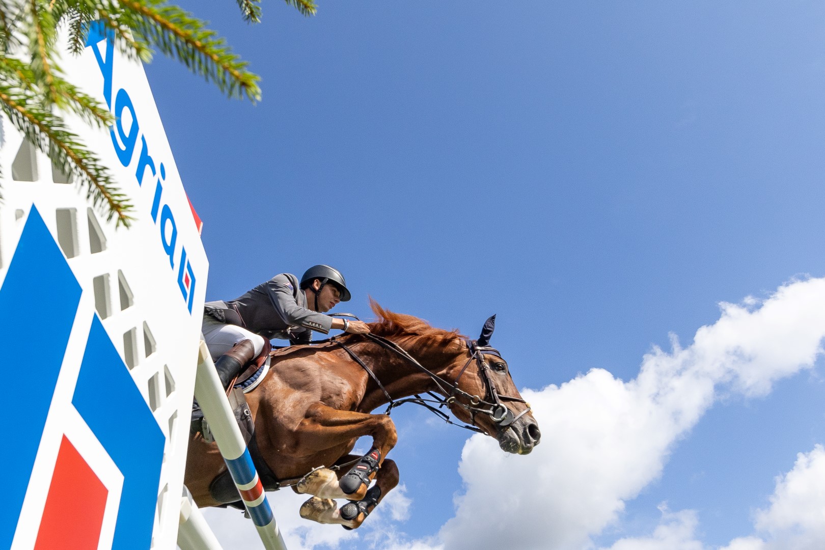 BH RIHS 20230729 148 (Large)