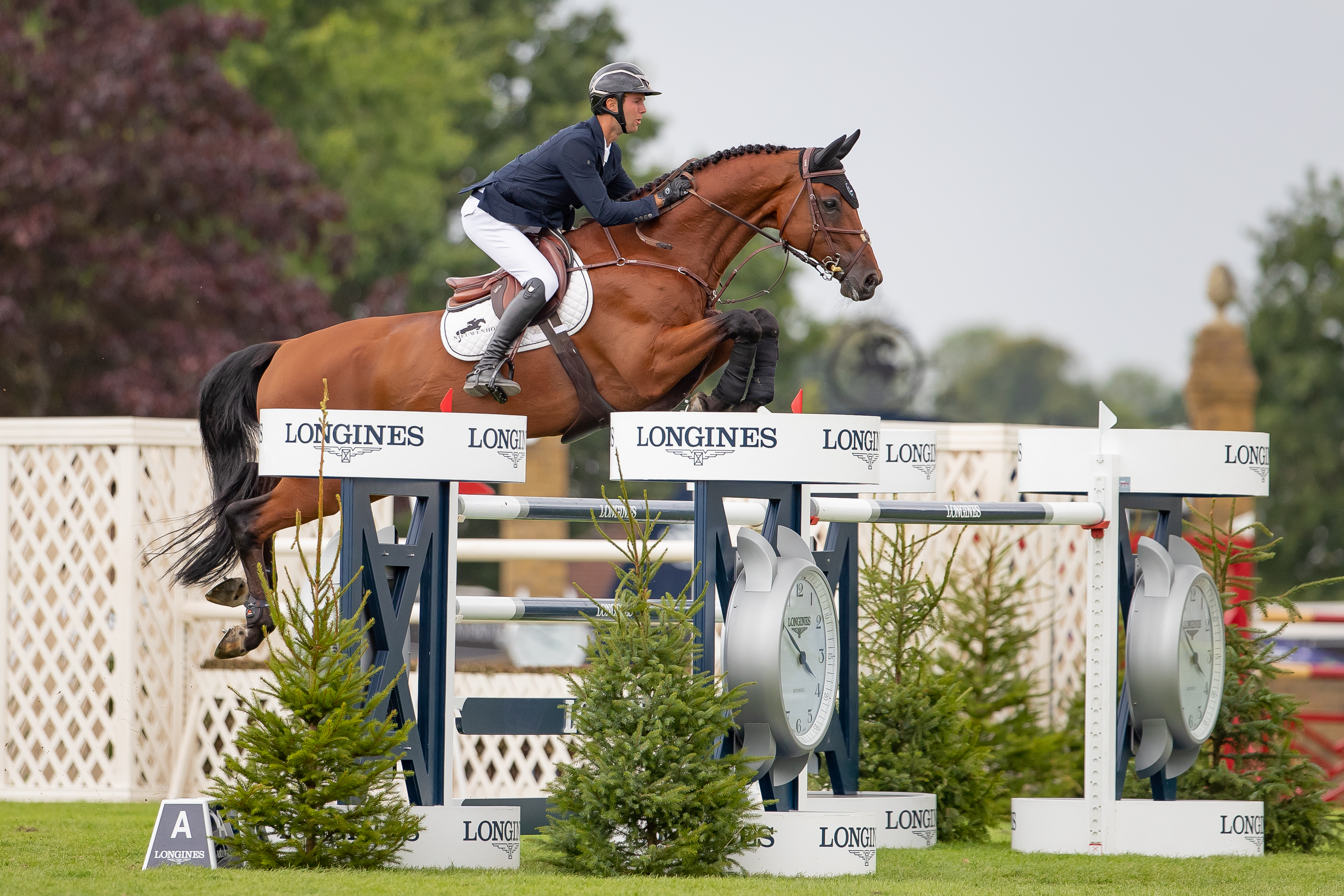 Thomas Gilles & Aretino 13 (4)