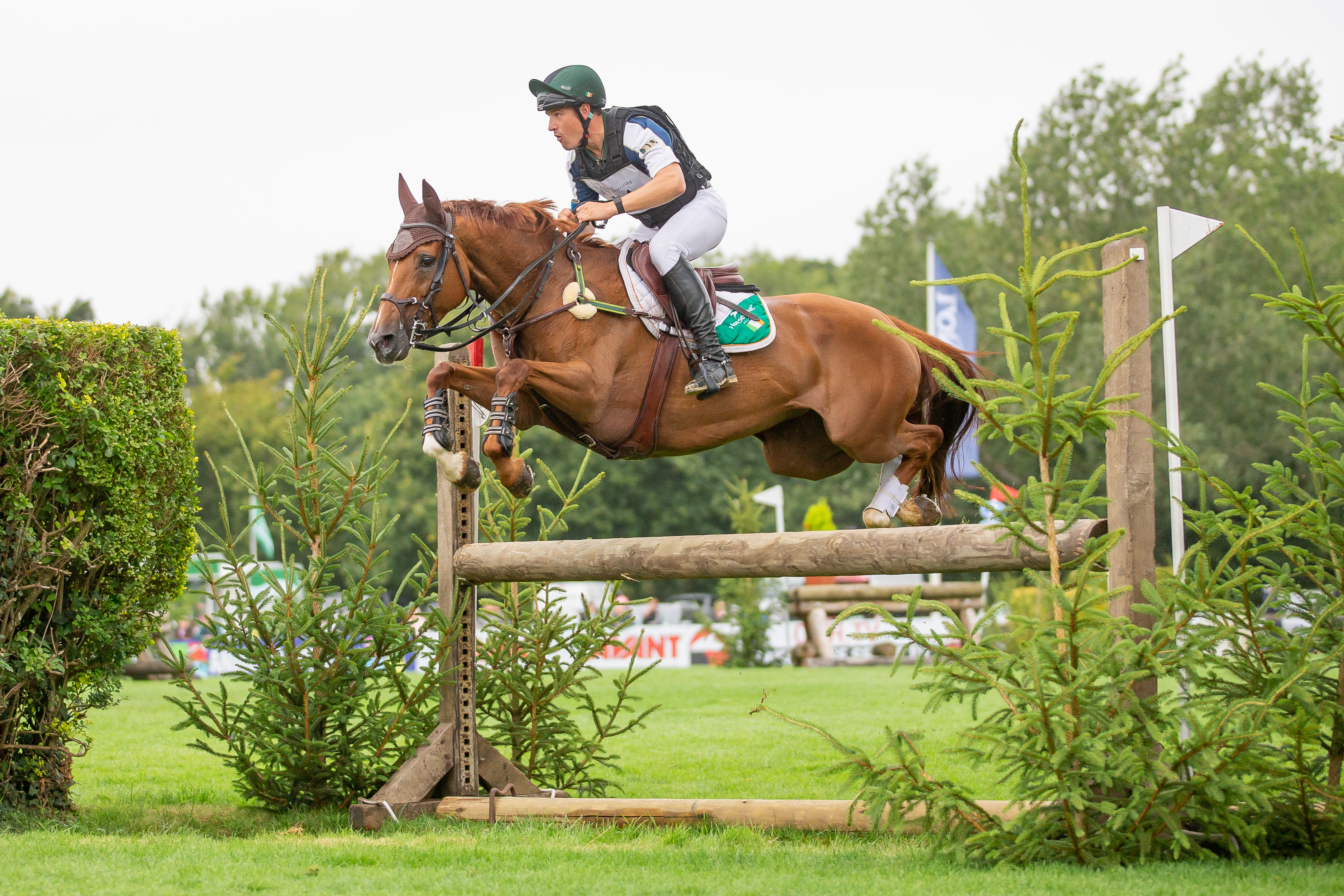 Fred Scala & Corrierbeg Supernova (3)