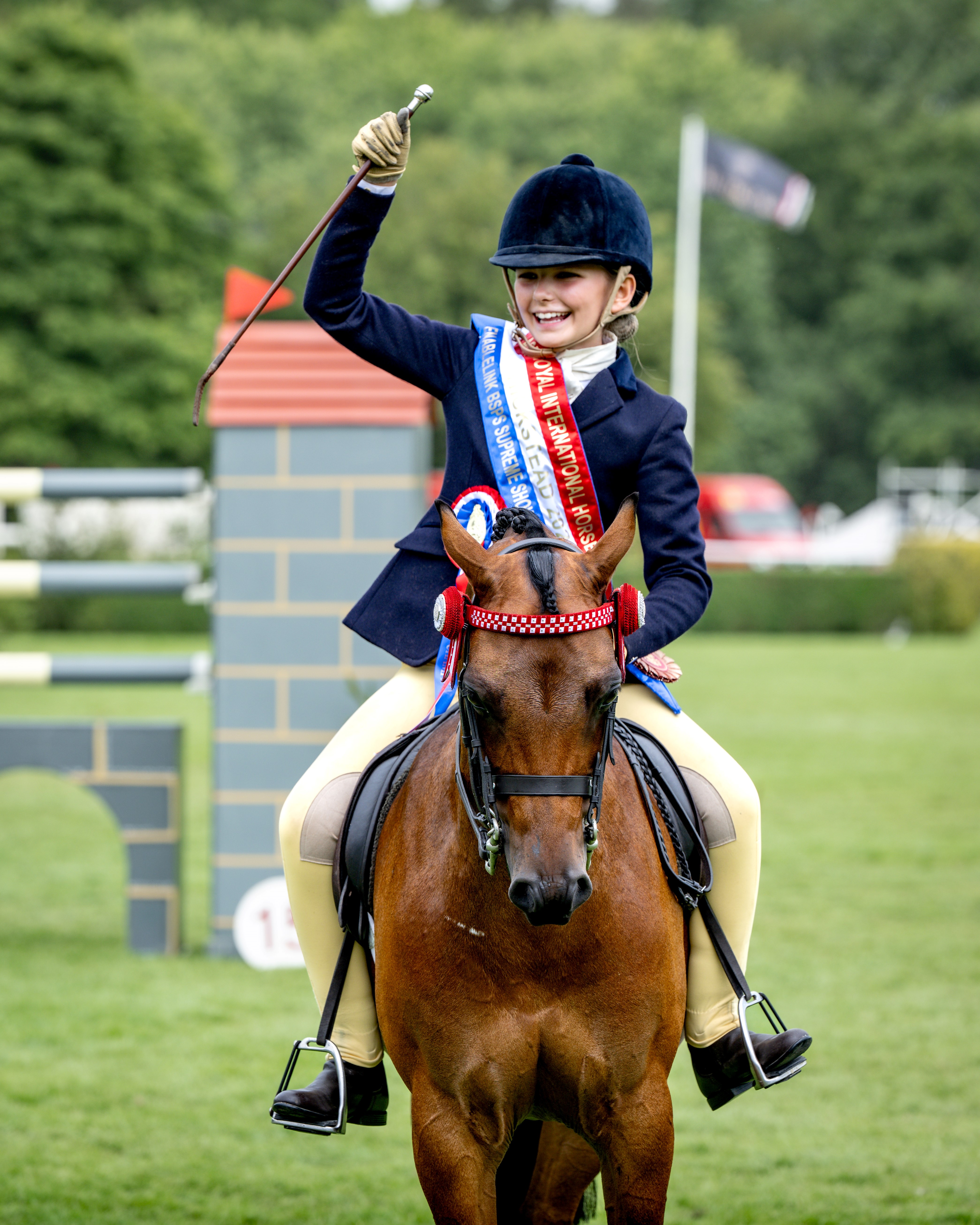 Wrong file -  Ignore (2)